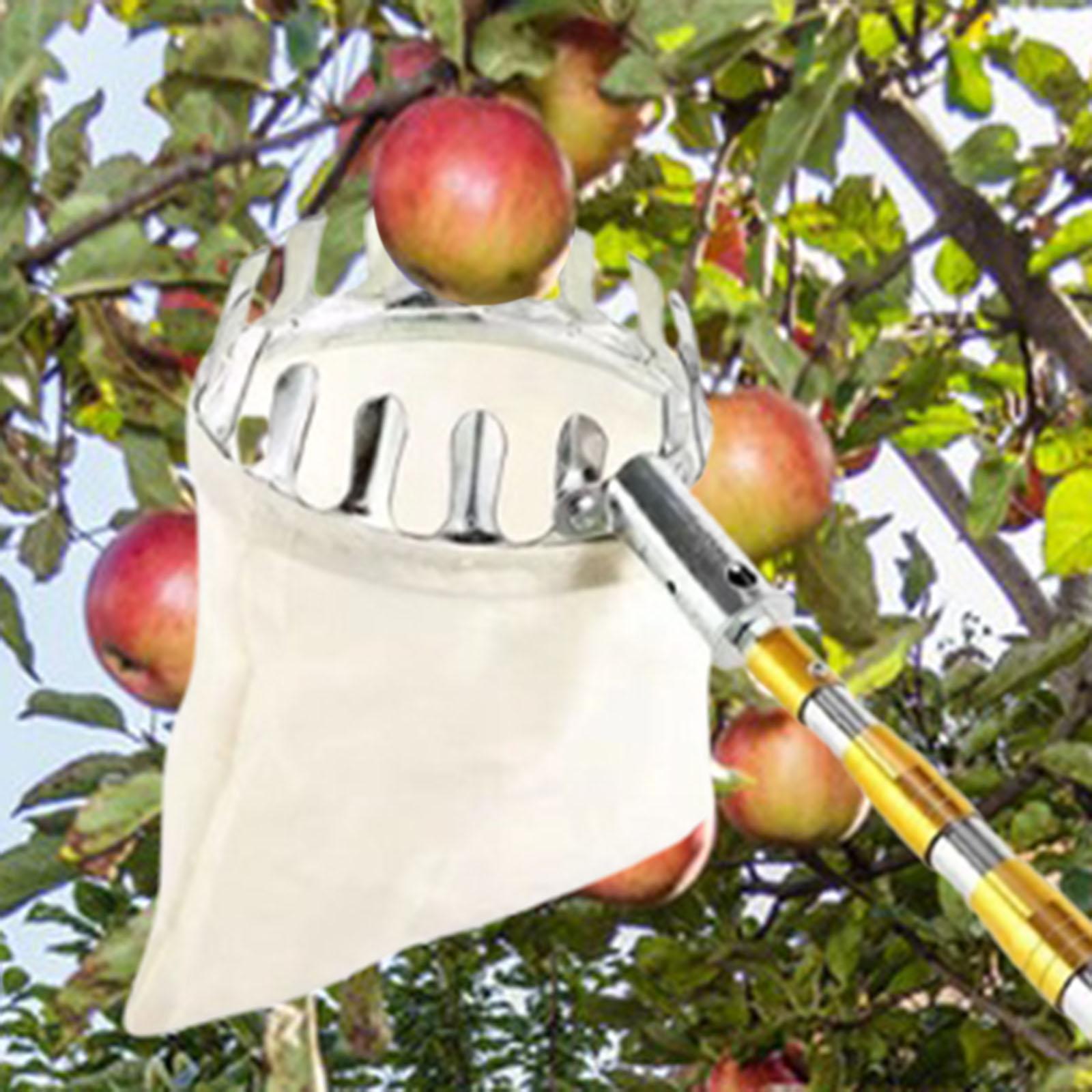 Agriculture Farming Practices - Obstpflücker aus Edelstahl, landwirtschaftliche Hardware, einfach