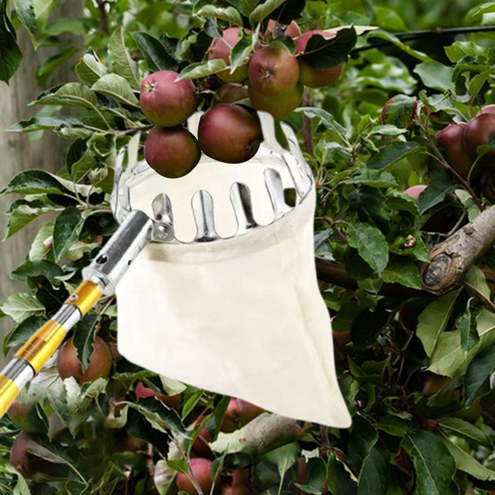 Obstpflücker aus Edelstahl, la – Agriculture Farming Practices Bewertung und Preis