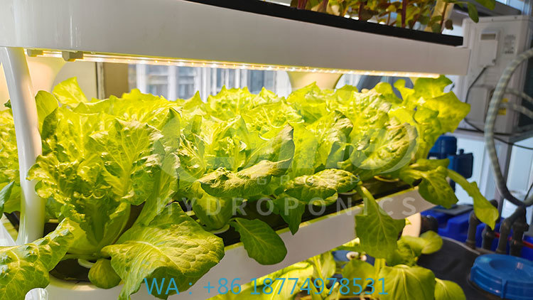 c Landwirtschaftsmaschine zum  – Farming Agriculture Equipment Bewertung und Preis