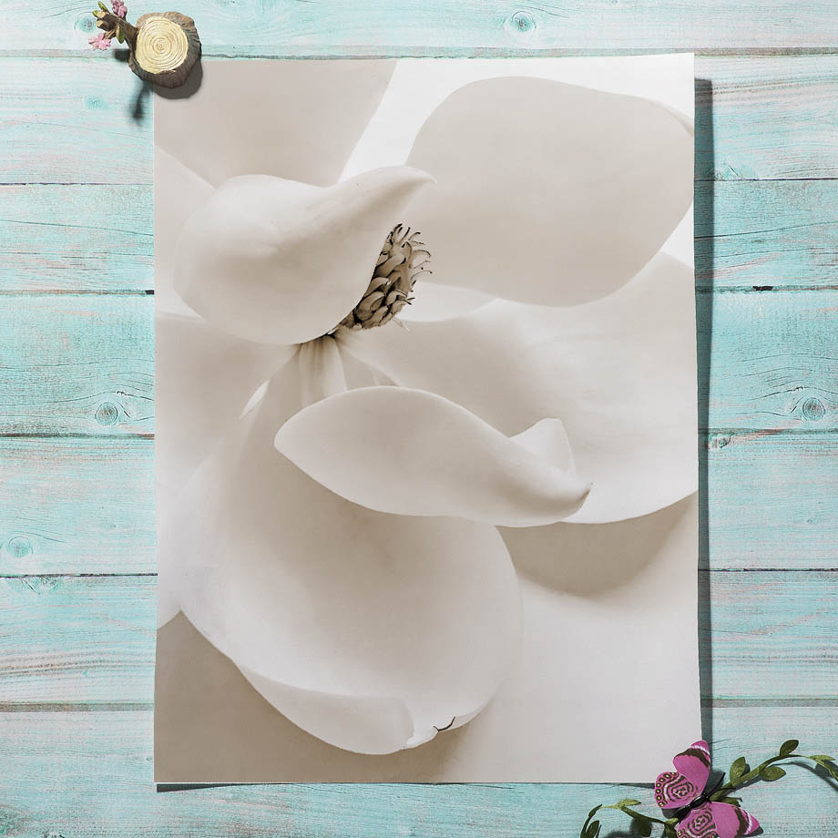 Beige Reed Peony Orchid Rose B – Orchard Sprayer Tractor Bewertung und Preis